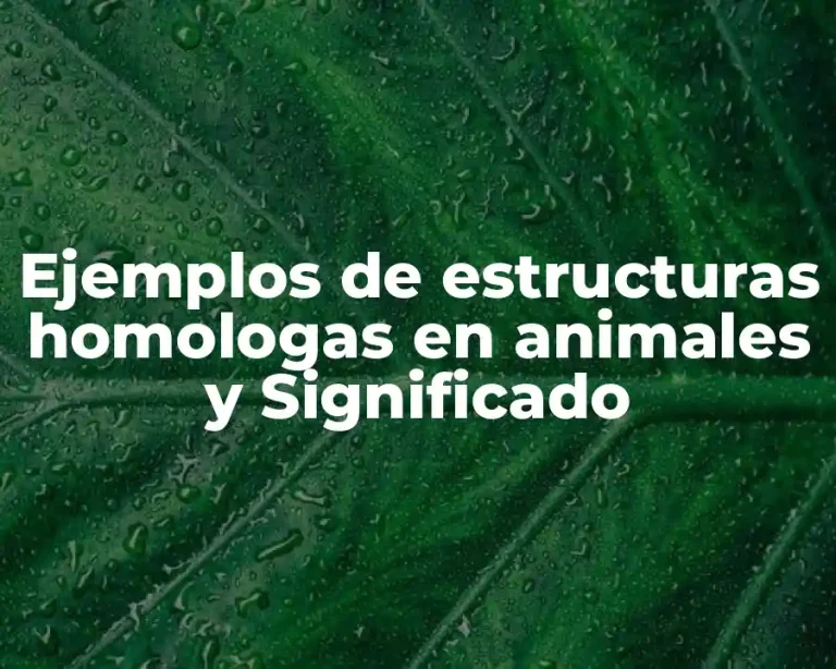Ejemplos de estructuras homologas en animales y Significado