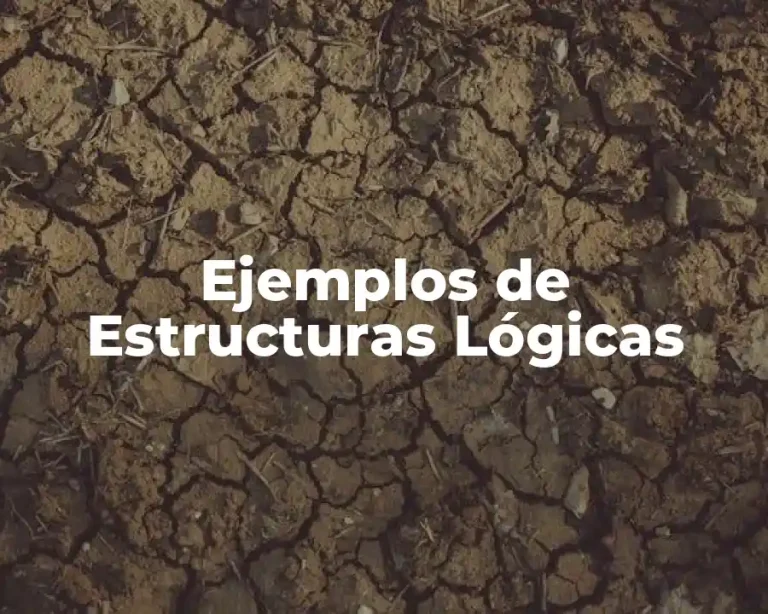 Ejemplos de Estructuras Lógicas