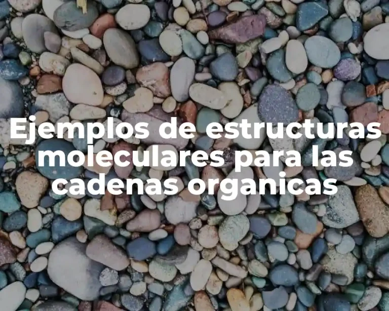 Ejemplos de estructuras moleculares para las cadenas organicas