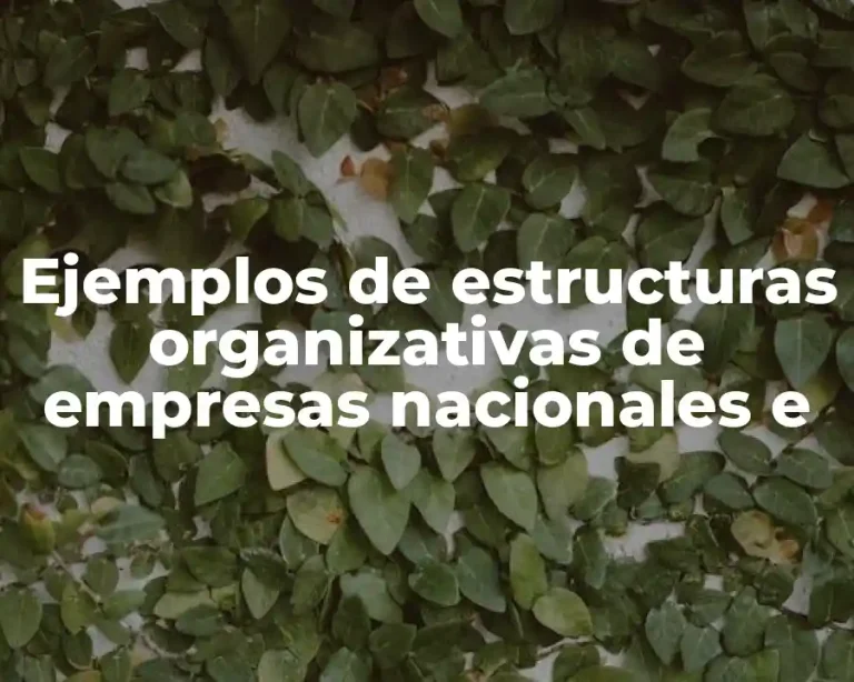 Ejemplos de estructuras organizativas de empresas nacionales e