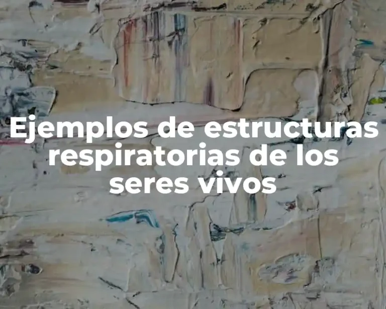 Ejemplos de estructuras respiratorias de los seres vivos