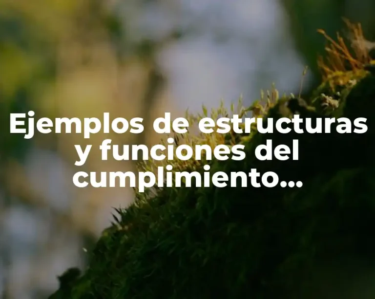 Ejemplos de estructuras y funciones del cumplimiento circunstancial
