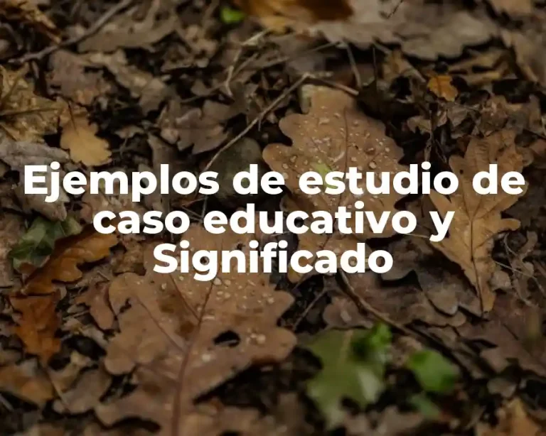 Ejemplos de estudio de caso educativo y Significado