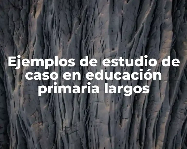 Ejemplos de estudio de caso en educación primaria largos