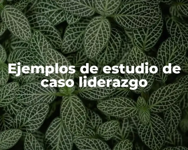 Ejemplos de estudio de caso liderazgo