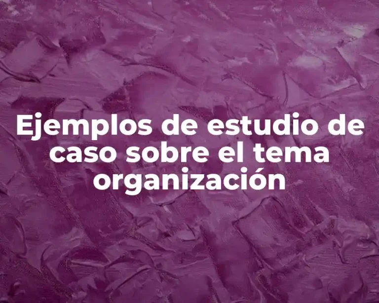 Ejemplos de estudio de caso sobre el tema organización
