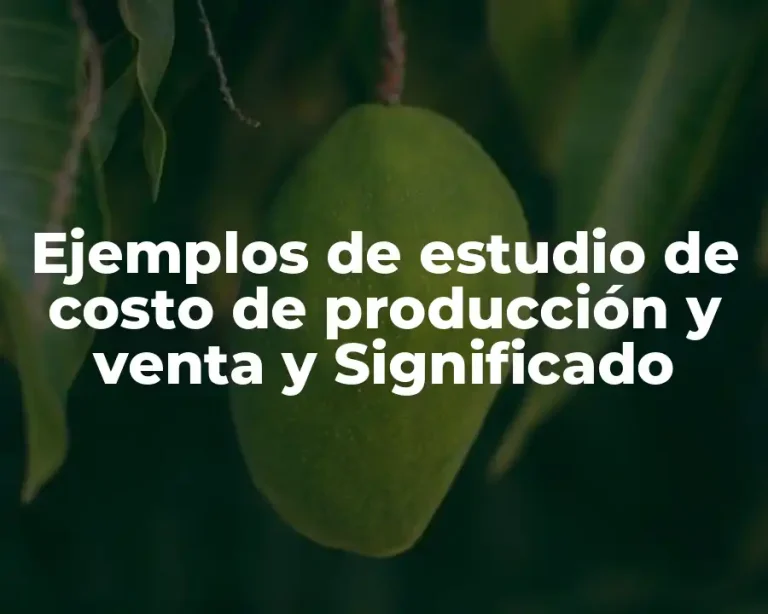 Ejemplos de estudio de costo de producción y venta y Significado