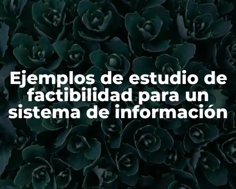 Ejemplos de estudio de factibilidad para un sistema de información