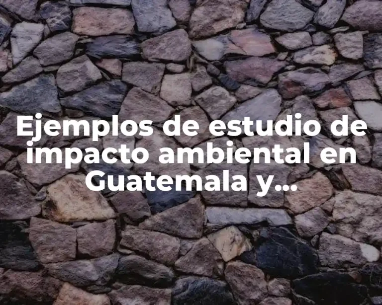 Ejemplos de estudio de impacto ambiental en Guatemala y Significado
