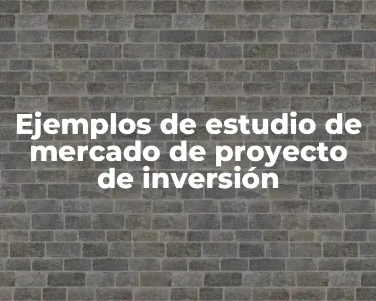 Ejemplos de estudio de mercado de proyecto de inversión