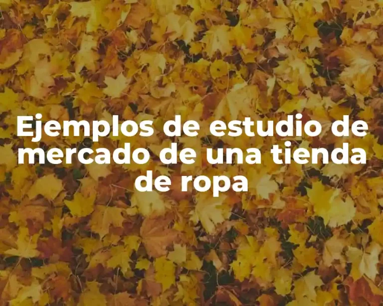 Ejemplos de estudio de mercado de una tienda de ropa