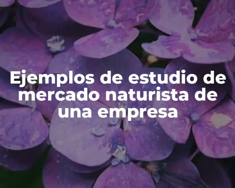 Ejemplos de estudio de mercado naturista de una empresa