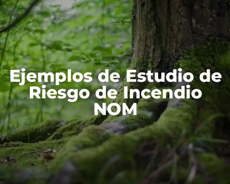 Ejemplos de Estudio de Riesgo de Incendio NOM