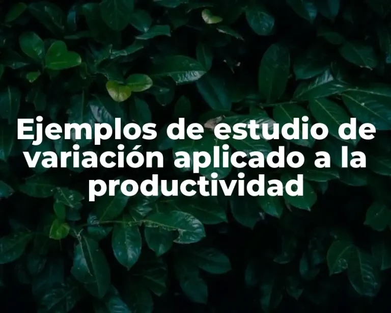 Ejemplos de estudio de variación aplicado a la productividad