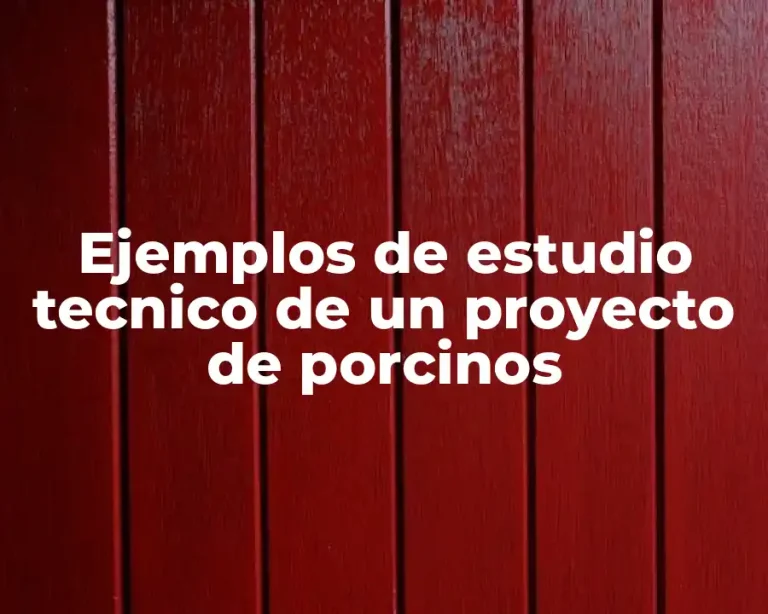 Ejemplos de estudio tecnico de un proyecto de porcinos