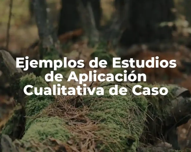 Ejemplos de Estudios de Aplicación Cualitativa de Caso