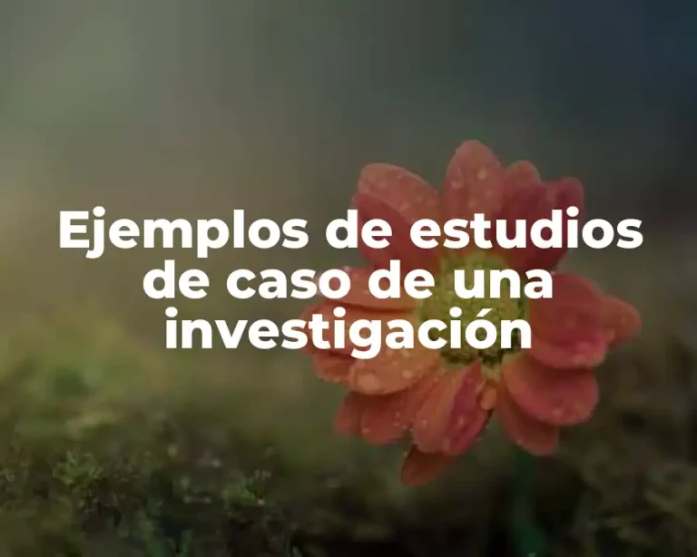 Ejemplos de estudios de caso de una investigación