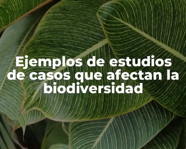 Ejemplos de estudios de casos que afectan la biodiversidad