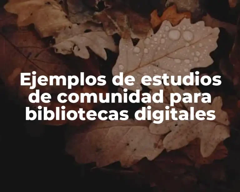 Ejemplos de estudios de comunidad para bibliotecas digitales