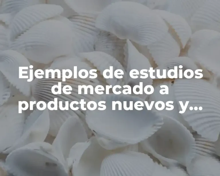 Ejemplos de estudios de mercado a productos nuevos y Significado
