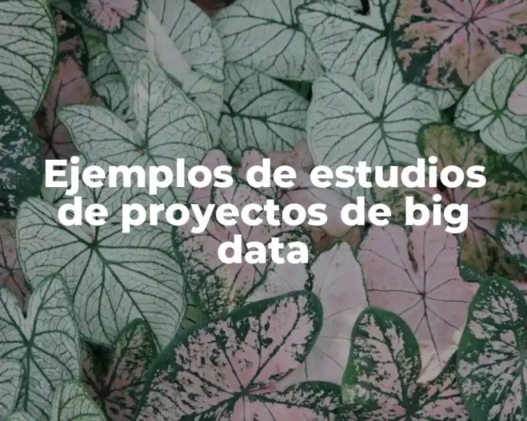 Ejemplos de estudios de proyectos de big data