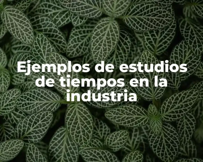 Ejemplos de estudios de tiempos en la industria