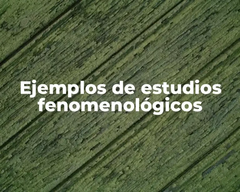 Ejemplos de estudios fenomenológicos