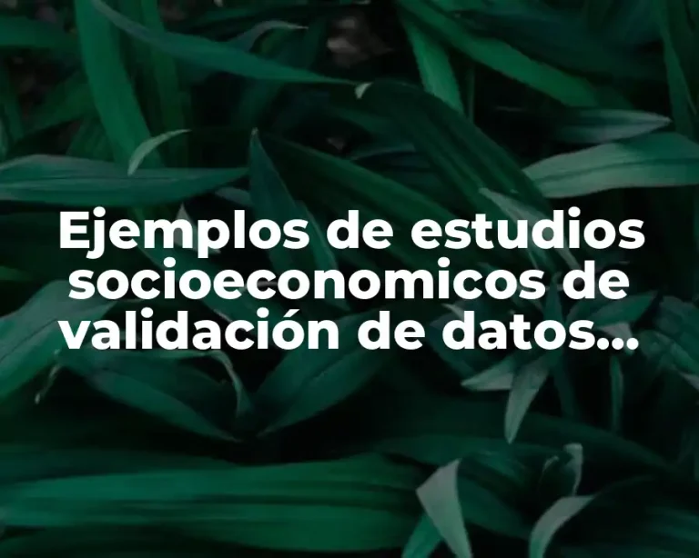 Ejemplos de estudios socioeconomicos de validación de datos personales