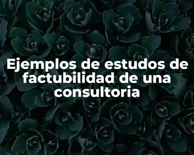 Ejemplos de estudos de factubilidad de una consultoria