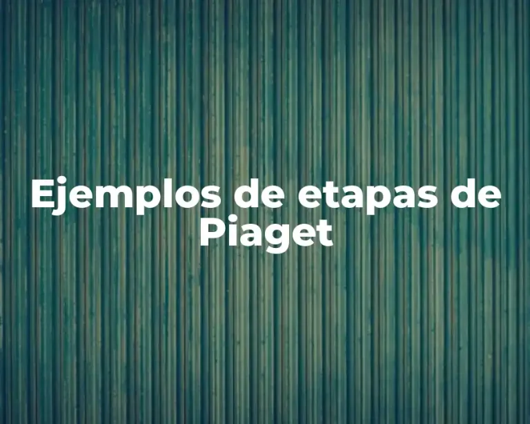 Ejemplos de etapas de Piaget