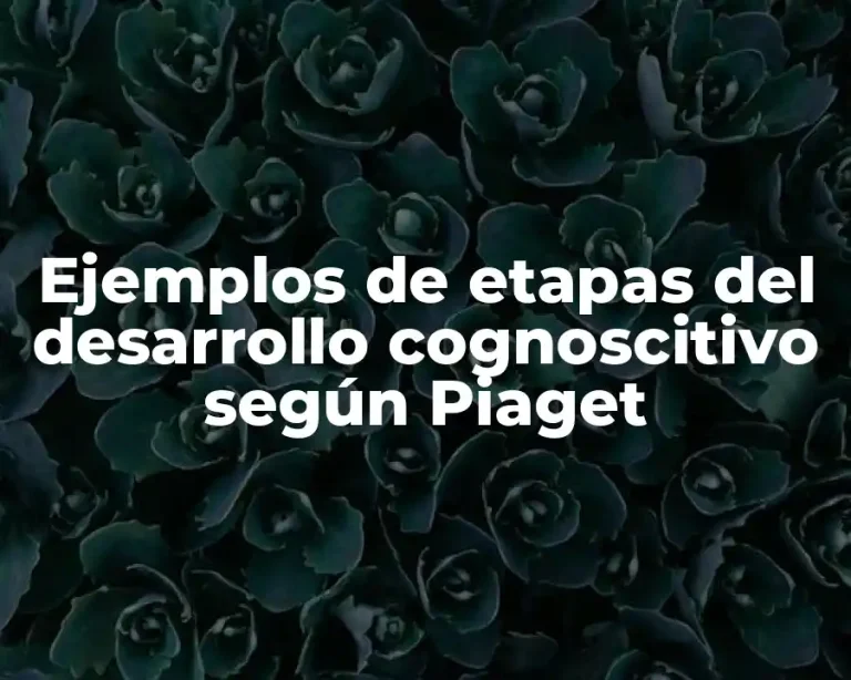 Ejemplos de etapas del desarrollo cognoscitivo según Piaget