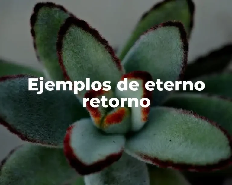 Ejemplos de eterno retorno