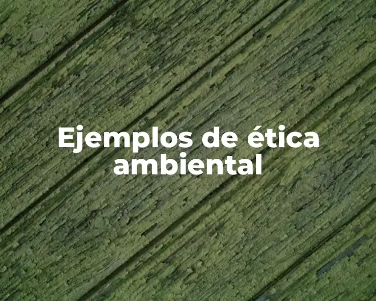 Ejemplos de ética ambiental