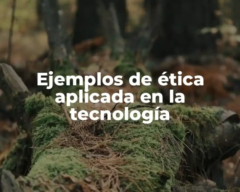 Ejemplos de ética aplicada en la tecnología
