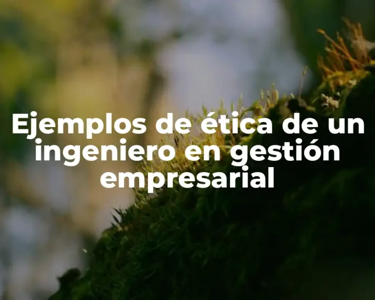 Ejemplos de ética de un ingeniero en gestión empresarial