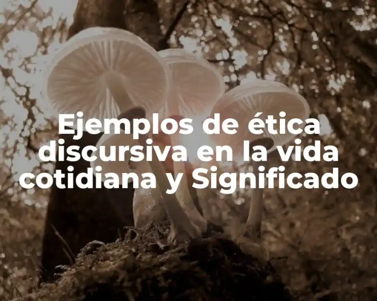 Ejemplos de ética discursiva en la vida cotidiana y Significado