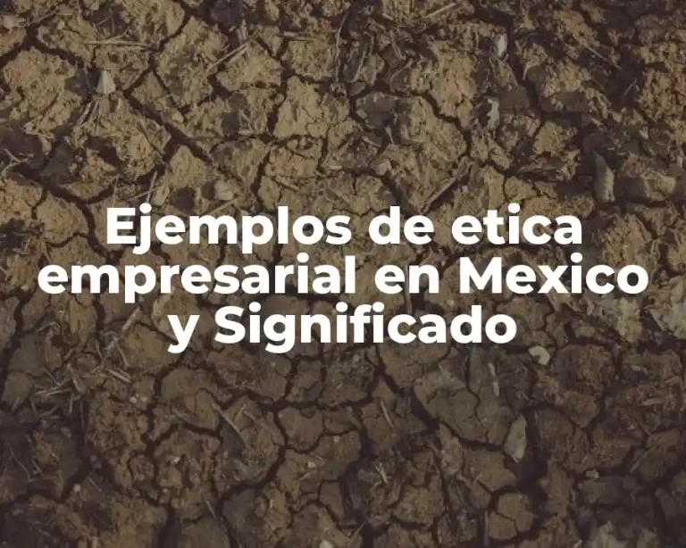 Ejemplos de etica empresarial en Mexico y Significado