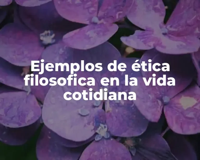 Ejemplos de ética filosofica en la vida cotidiana