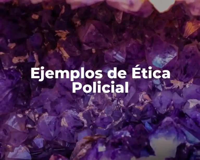 Ejemplos de Ética Policial