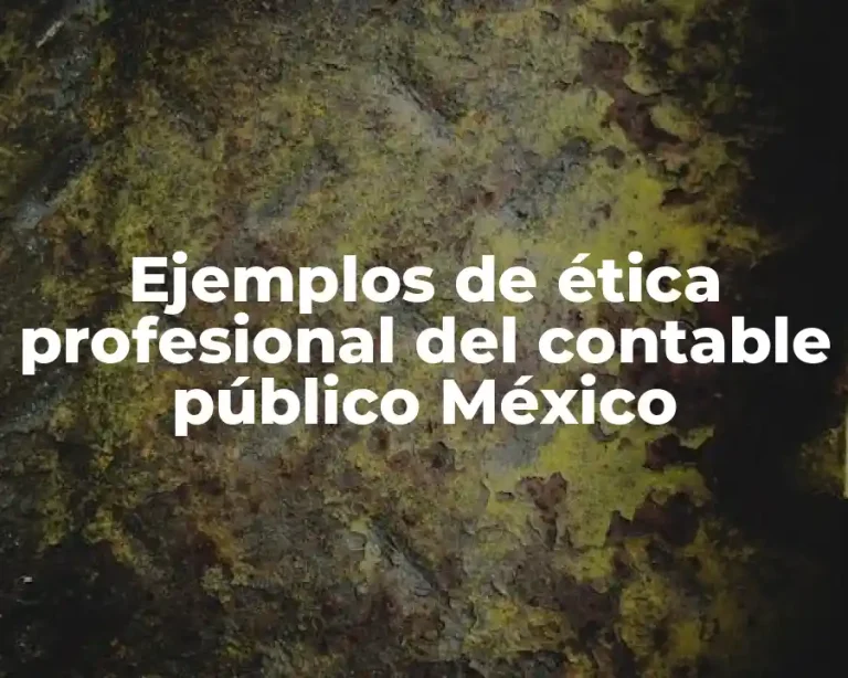 Ejemplos de ética profesional del contable público México