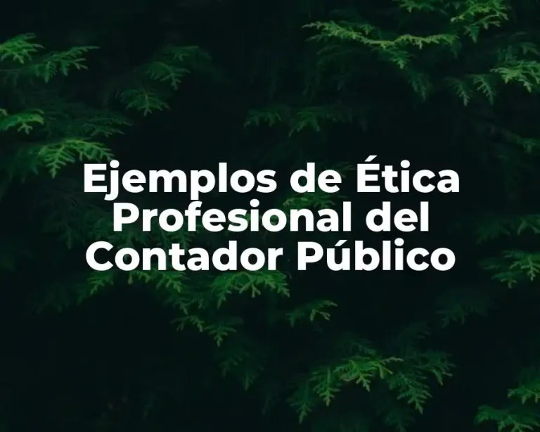 Ejemplos de Ética Profesional del Contador Público