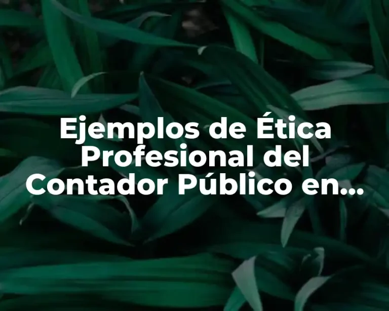 Ejemplos de Ética Profesional del Contador Público en México Antieantis