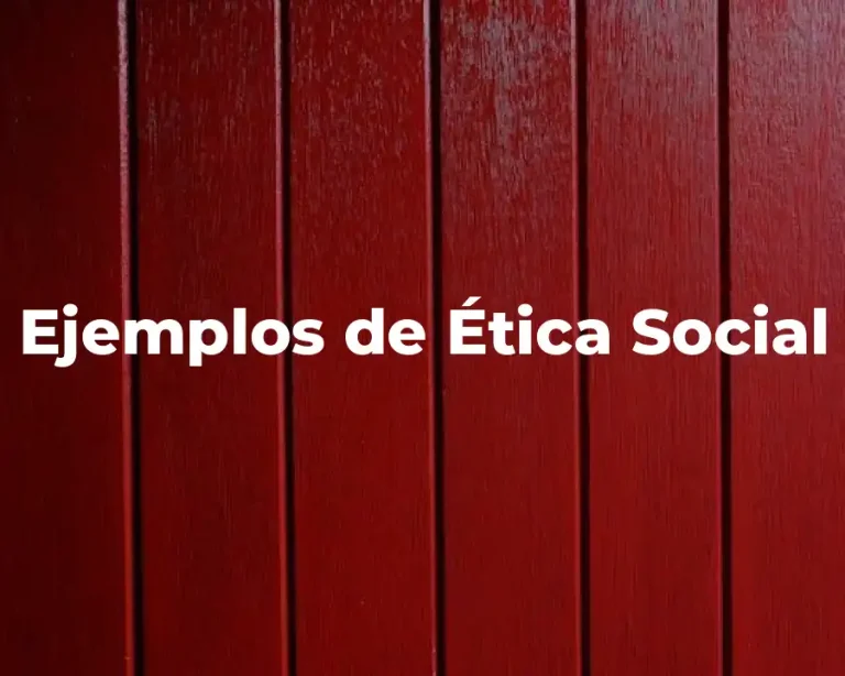 Ejemplos de Ética Social