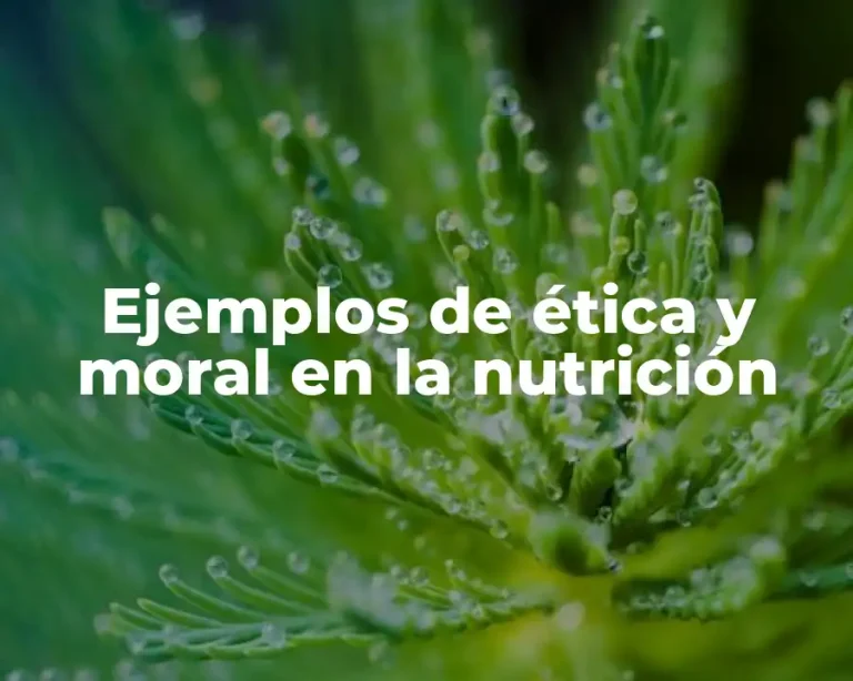 Ejemplos de ética y moral en la nutrición
