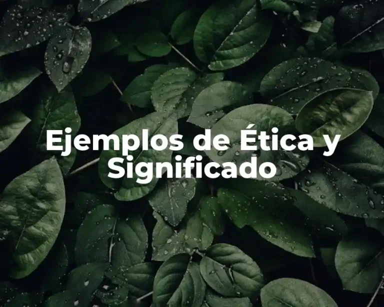 Ejemplos de Ética y Significado