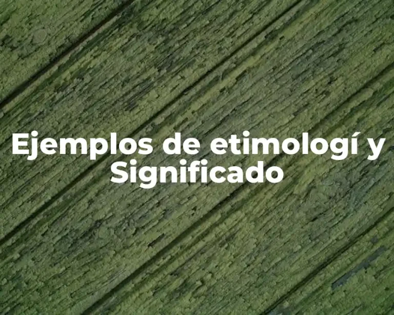 Ejemplos de etimologí y Significado