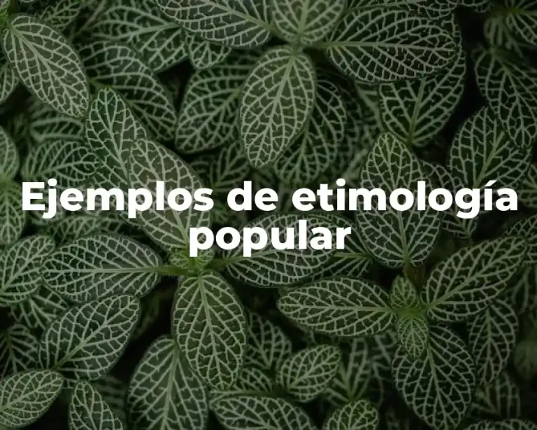 Ejemplos de etimología popular