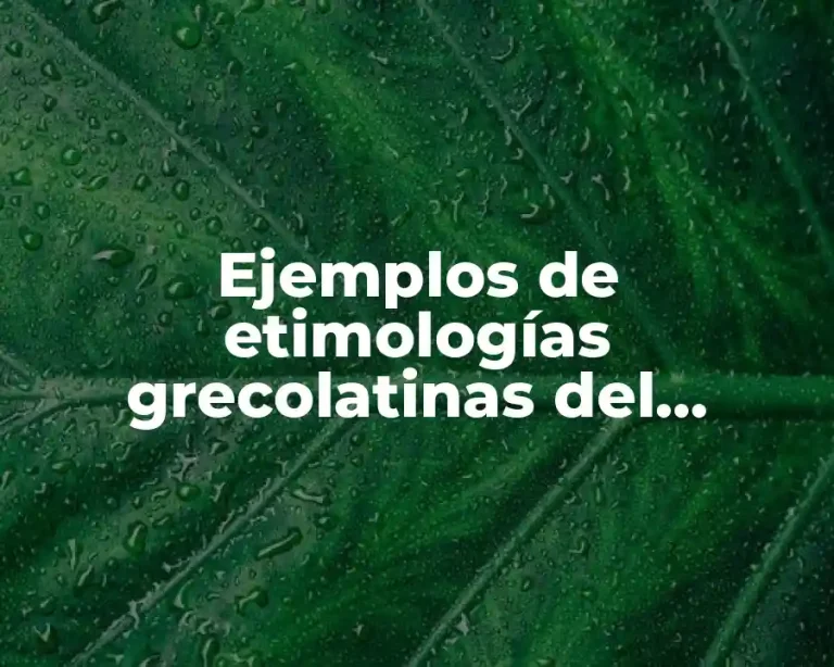 Ejemplos de etimologías grecolatinas del español