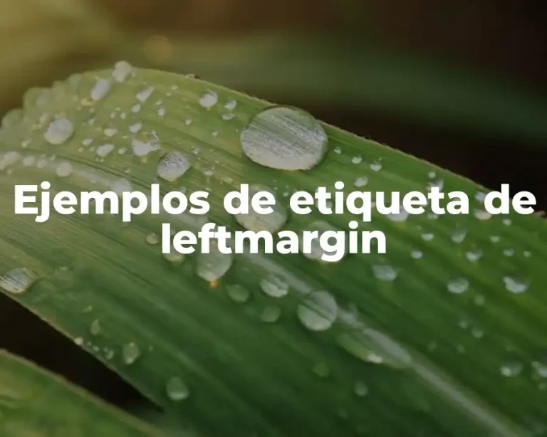 Ejemplos de etiqueta de leftmargin