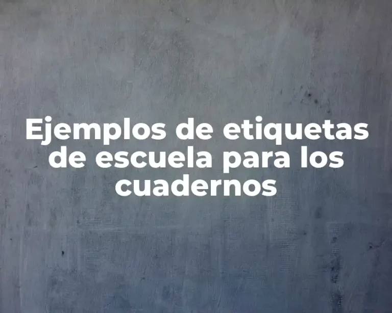 Ejemplos de etiquetas de escuela para los cuadernos